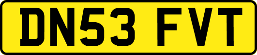 DN53FVT