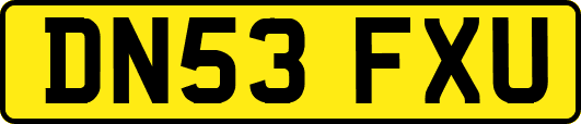 DN53FXU