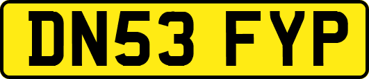 DN53FYP