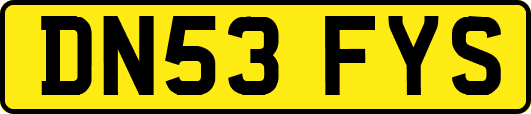 DN53FYS
