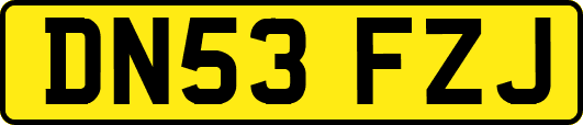 DN53FZJ