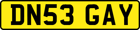 DN53GAY