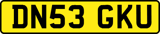 DN53GKU