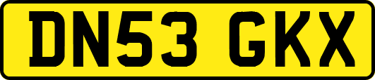 DN53GKX