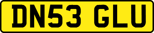 DN53GLU