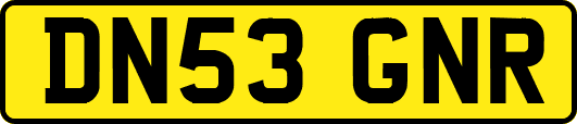 DN53GNR