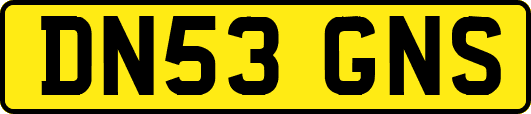 DN53GNS