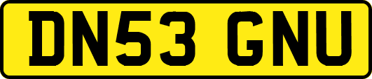 DN53GNU