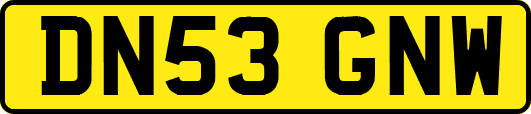 DN53GNW