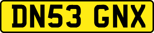 DN53GNX