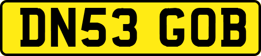 DN53GOB