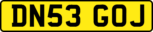DN53GOJ