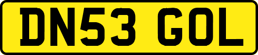 DN53GOL