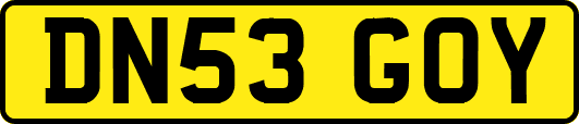 DN53GOY