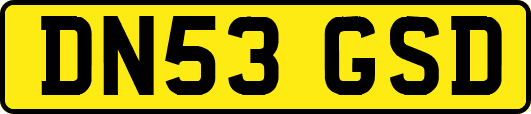 DN53GSD