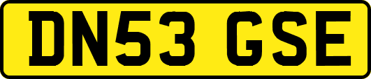 DN53GSE