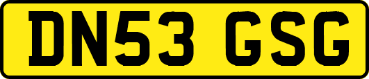 DN53GSG