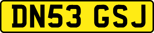 DN53GSJ