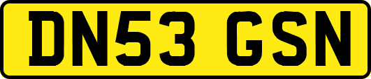 DN53GSN