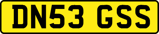 DN53GSS