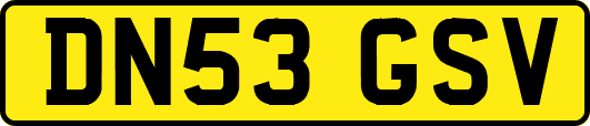 DN53GSV