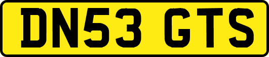 DN53GTS