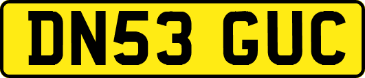 DN53GUC