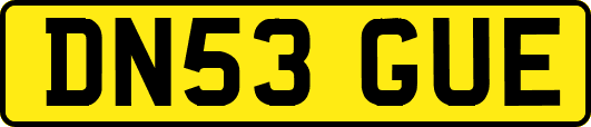 DN53GUE