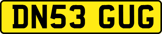 DN53GUG