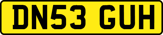 DN53GUH
