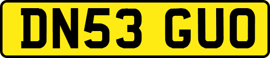 DN53GUO