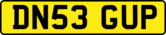 DN53GUP