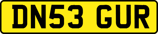 DN53GUR