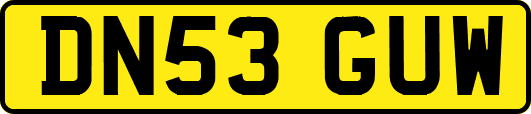 DN53GUW