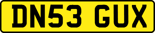 DN53GUX