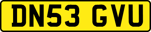 DN53GVU