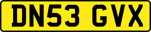 DN53GVX