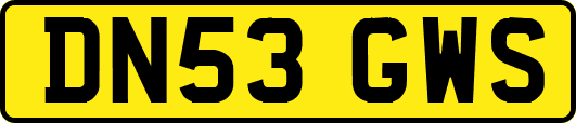 DN53GWS