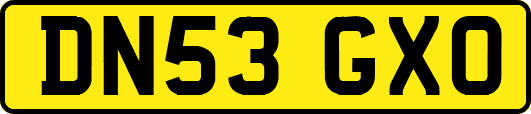 DN53GXO
