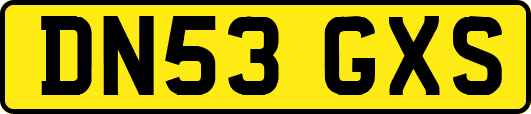 DN53GXS