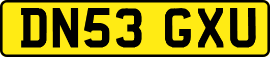 DN53GXU