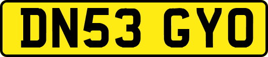 DN53GYO
