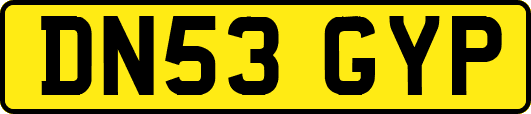 DN53GYP