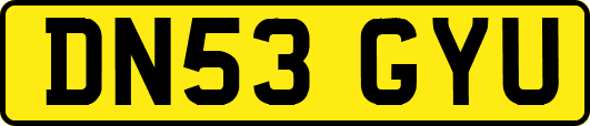 DN53GYU