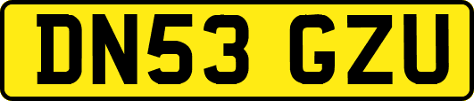 DN53GZU