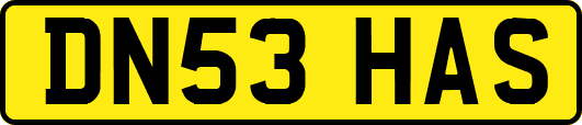 DN53HAS