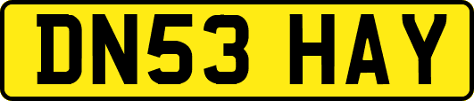 DN53HAY