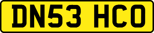 DN53HCO