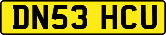 DN53HCU