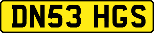 DN53HGS